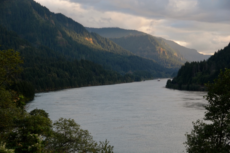 wide, calm river scene